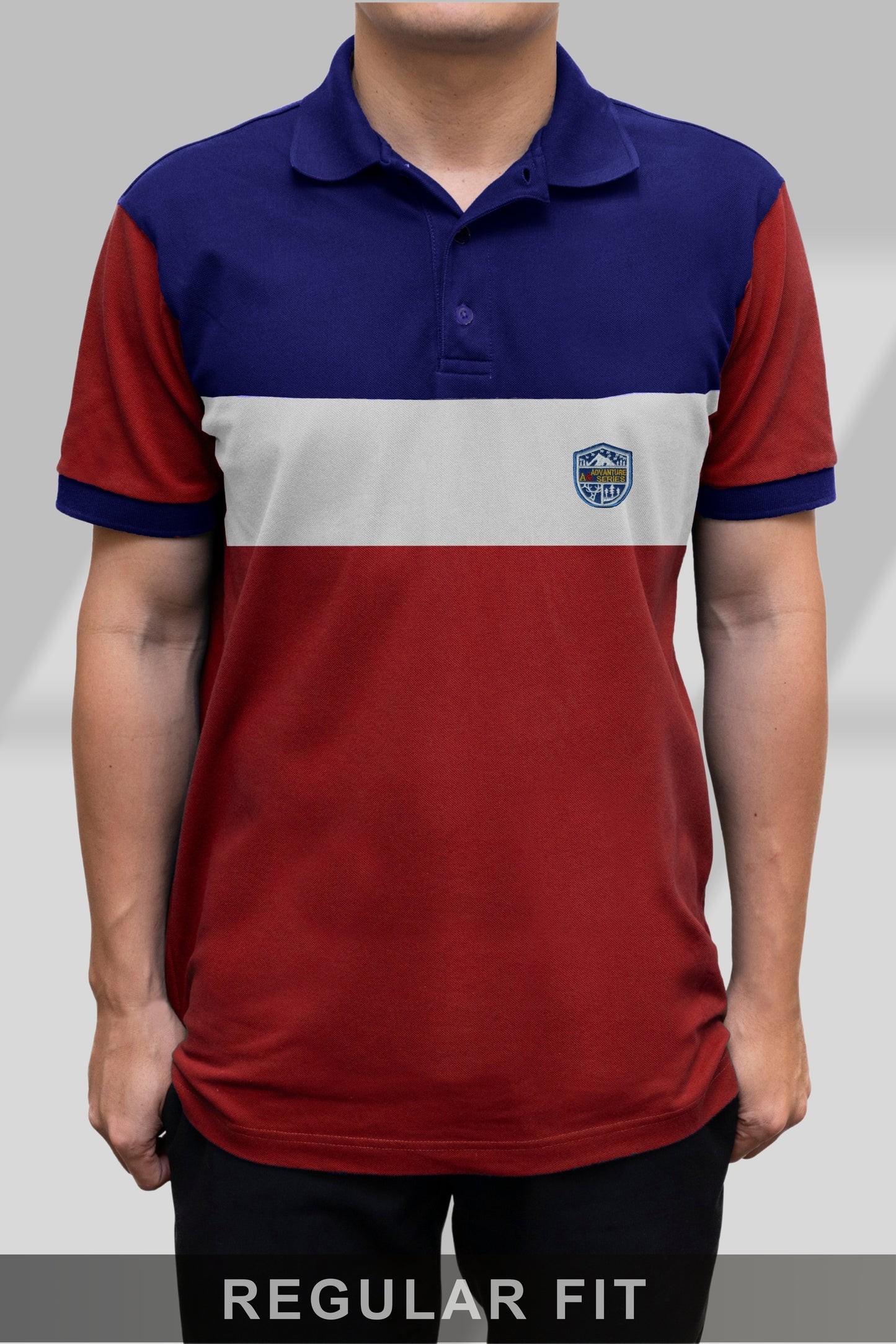 Blue & Red Paneled Polo T-shirt